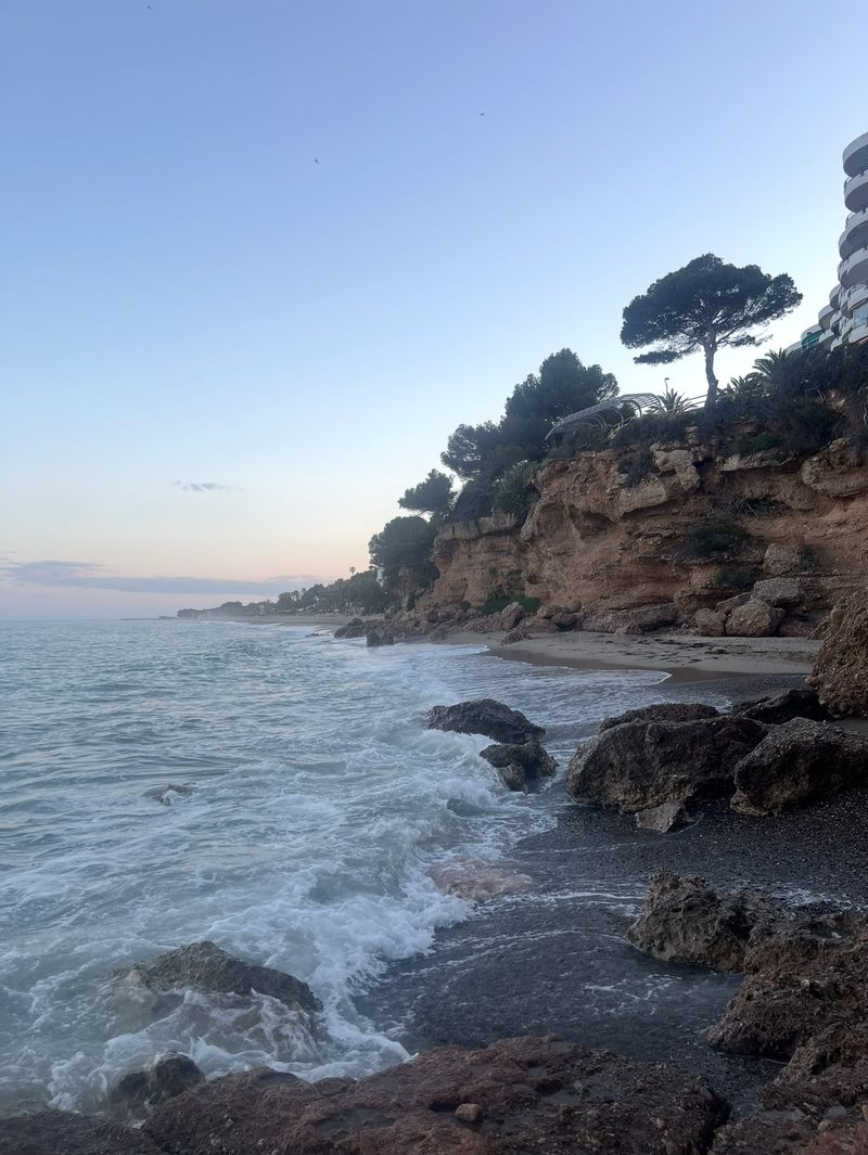 Côte rocheuse et vagues au pied d'une falaise