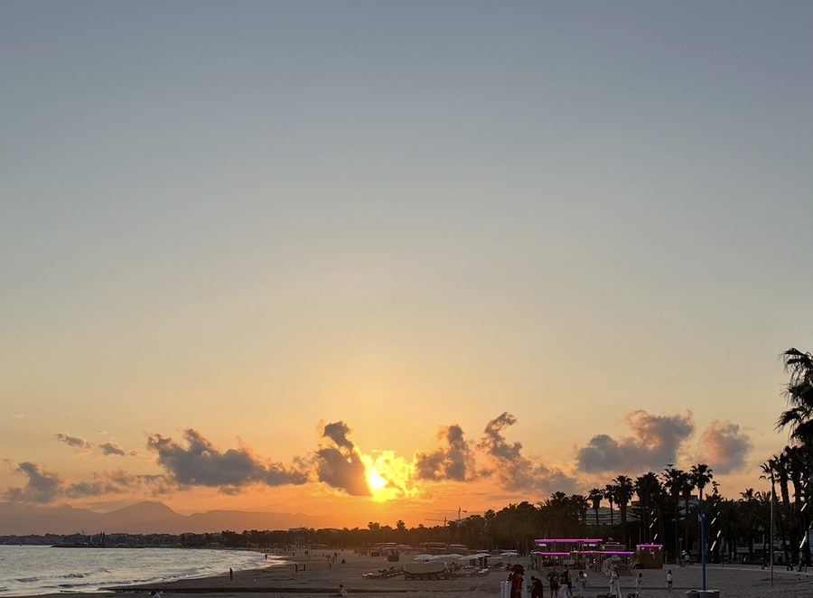 Coucher de soleil sur une plage bordée de palmiers